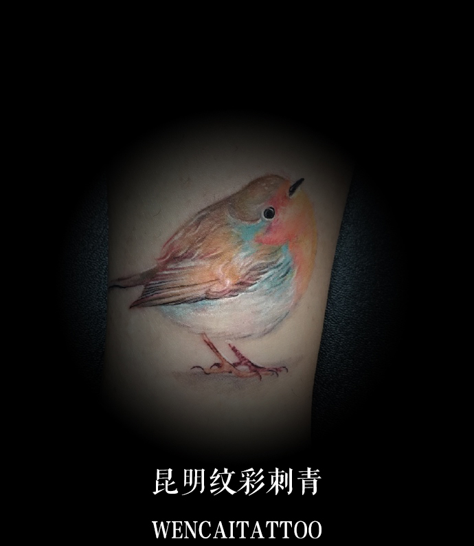 昆明的祁先生小腿鸟类纹身图案