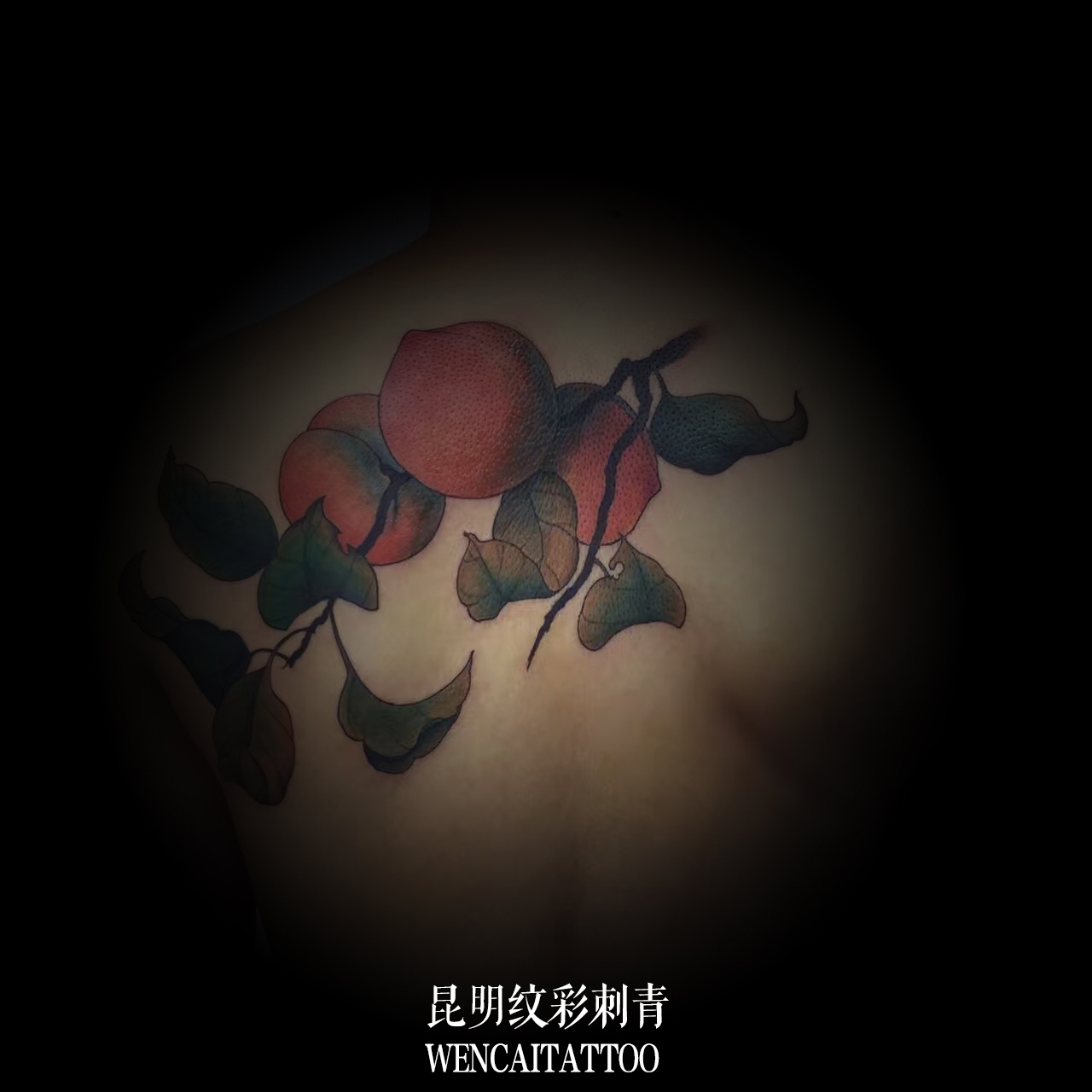 昆明帅气的薄先生后背三颗仙桃纹身图案