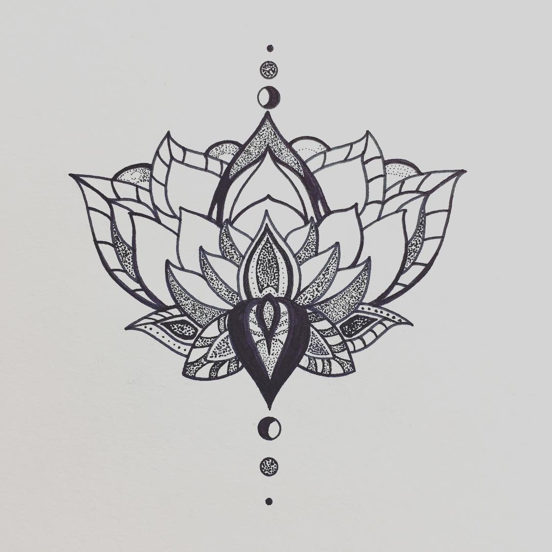 ɻָ