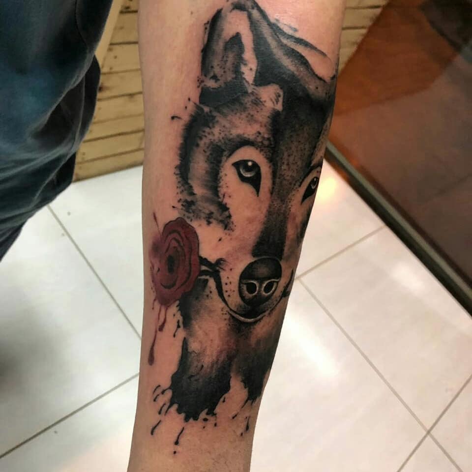 Сۺڻдʵͼ